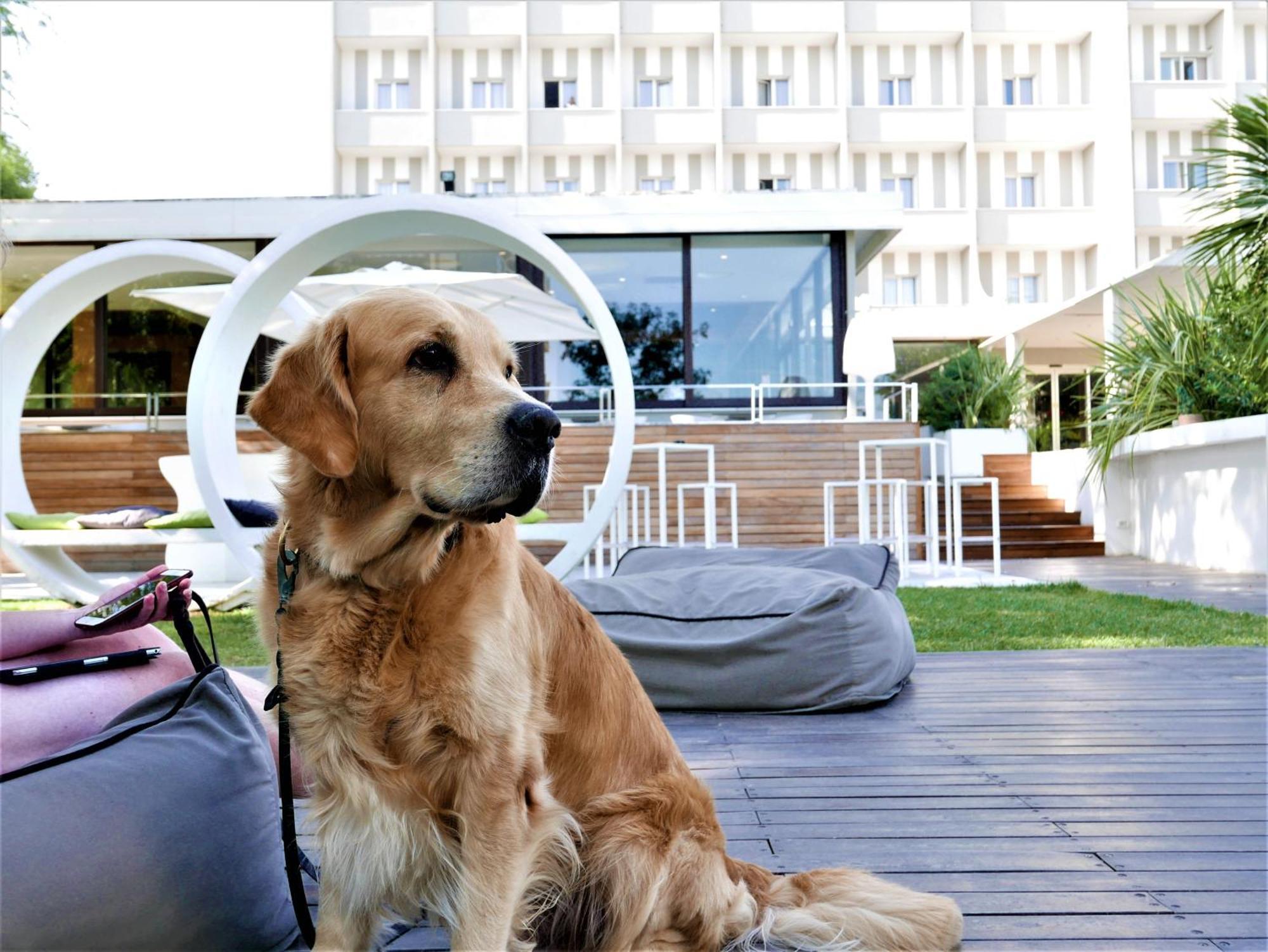 Oxygen Lifestyle Hotel Viserbella di Rimini ภายนอก รูปภาพ